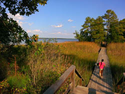 York River State Park - Terri Aigner Photo